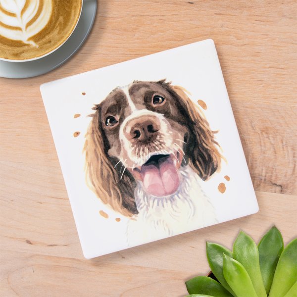 SPRINGER SPANIEL COASTER