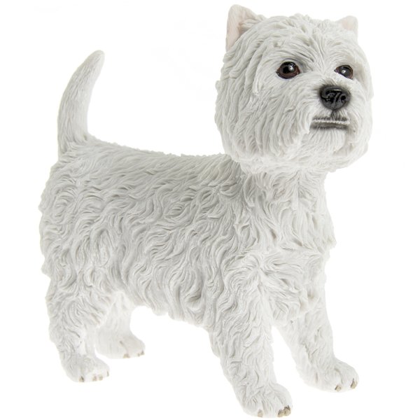 WEST HIGHLAND TERRIER