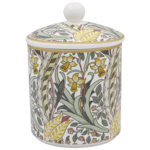 DAFFODIL CANISTER