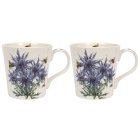 BEETANICAL THISTLE MUGS SET 2