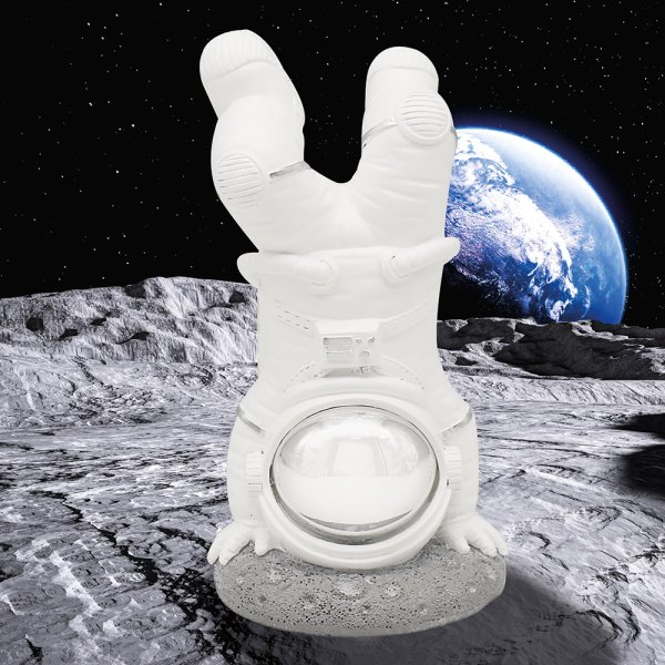 The Astronaut 　フーディ　Lサイズ ASTRONAUT : Lesser & Pavey