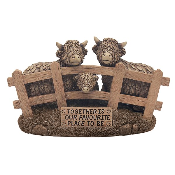 HIGHLAND COWS TOGETHER