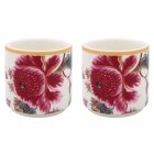 ANTHINA EGG CUPS