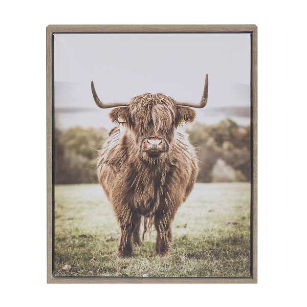 HIGHLAND COW WALL ART