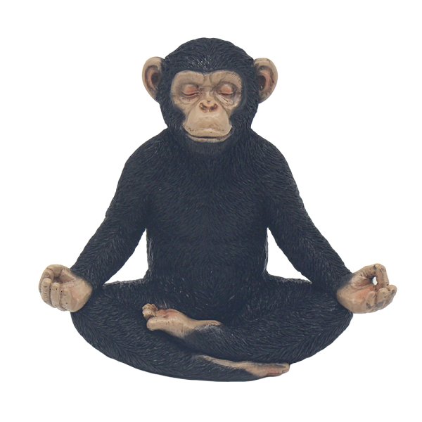 CHEEKY MONKEY YOGA