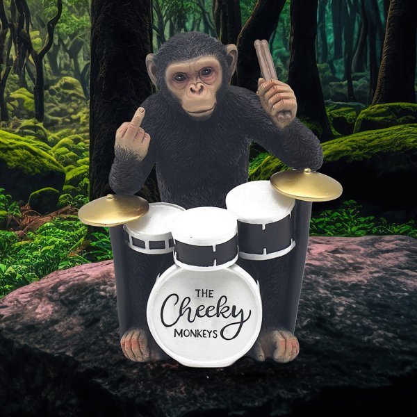 CHEEKY MONKEYS DRUMMER