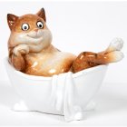 CAT BATHTIME