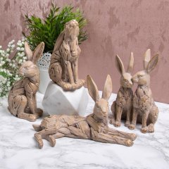 Driftwood Hares