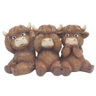 HIGHLAND COW
