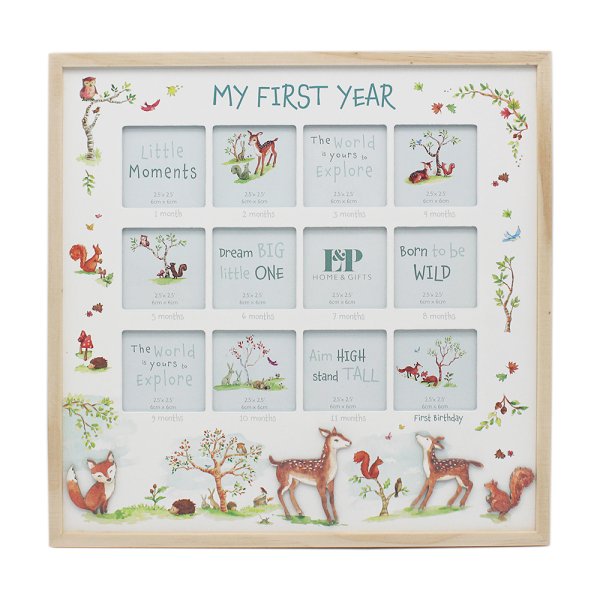FOREST FRIENDS 1ST YEAR FRAME