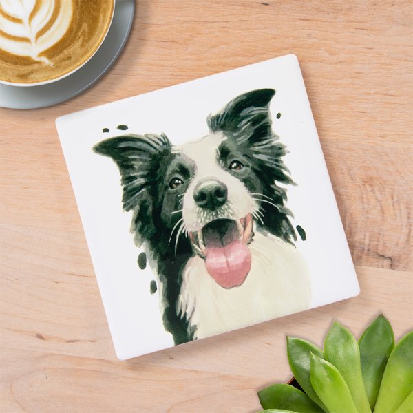 COLLIE COASTER