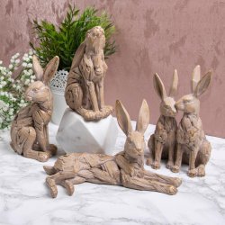 Driftwood Hares