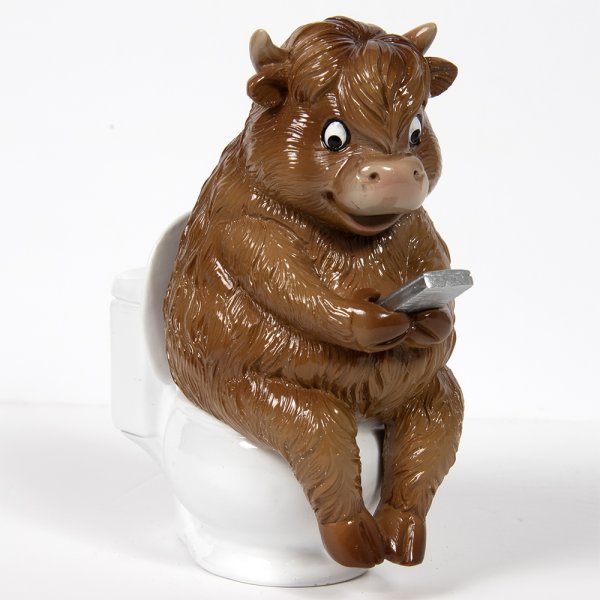 HIGHLAND COW LOO-TIME