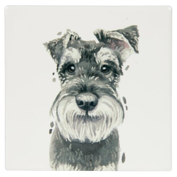 SCHNAUZER COASTER