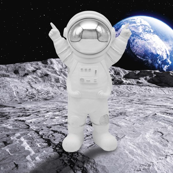 ASTRONAUT TOP OF THE WORLD