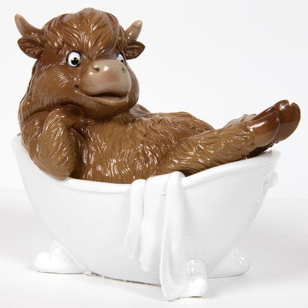 HIGHLAND COW BATHTIME