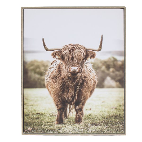 HIGHLAND COW WALL ART