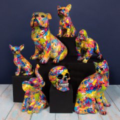 New Ranges in January