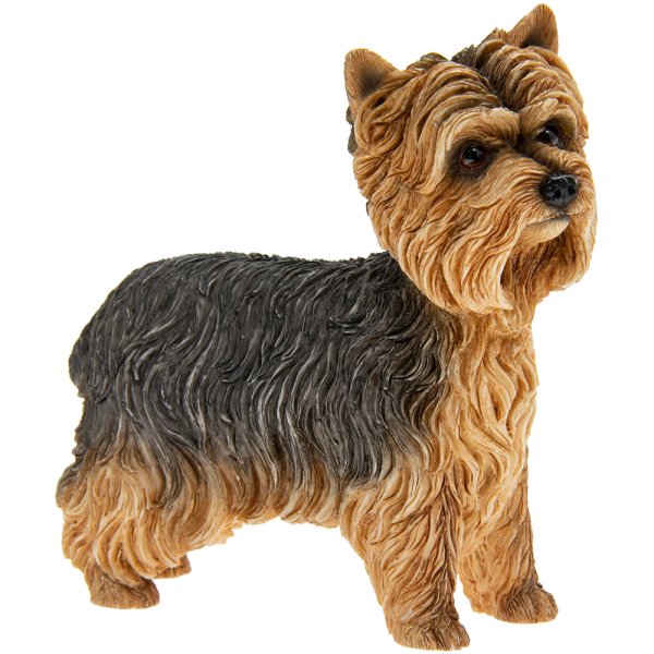YORKSHIRE TERRIER