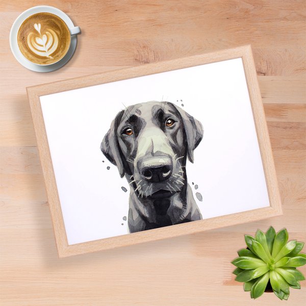 BLACK LABRADOR LAPTRAY