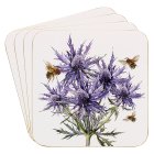BEE-TANICAL THISTLECOASTERS S4