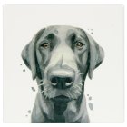 BLACK LABRADOR COASTER