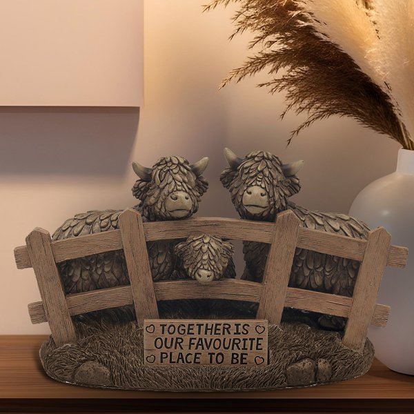 HIGHLAND COWS TOGETHER