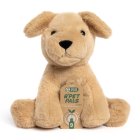 RPET PALS MUTTLEY SITTING DOG