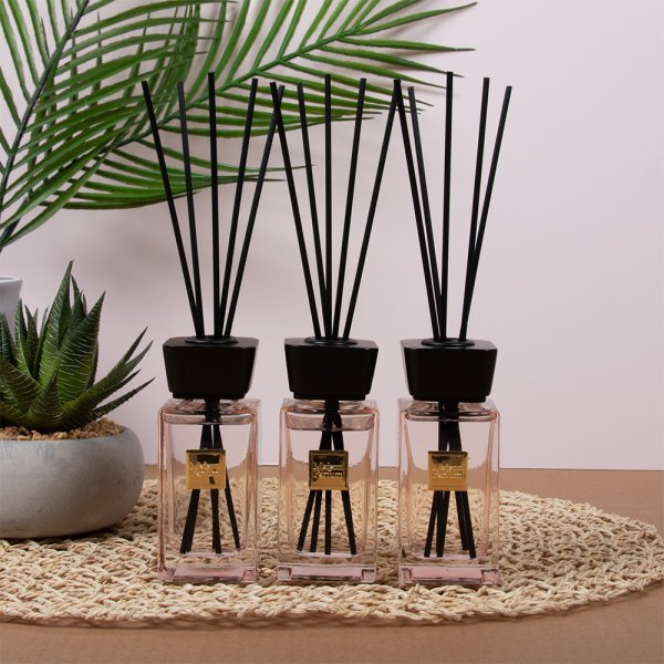 COCO DIFFUSERS SET 3