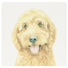 COCKAPOO COASTER