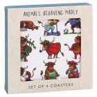 HIGHLAND COW COASTERS SET 4