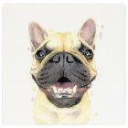 FRENCHIE COASTER
