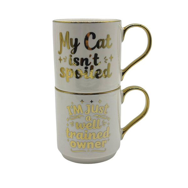 MY CAT ISNT SPOILT MUG