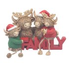 HIGHLAND COW FAMILY