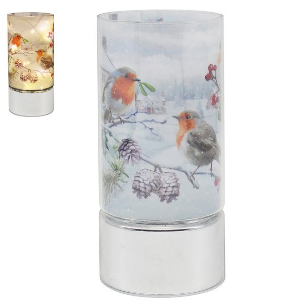 CHRISTMAS ROBINS LED TUBE
