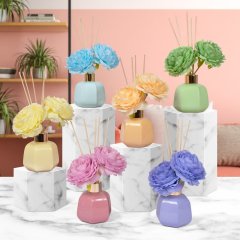 New Ranges in December 2023