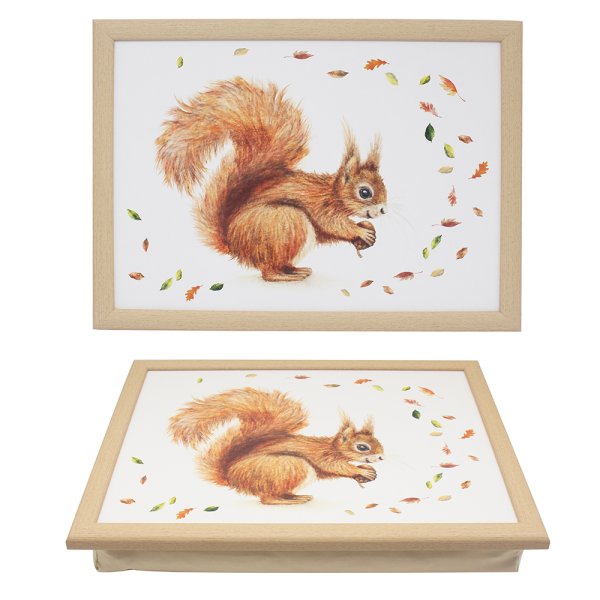 SQUIRREL LAPTRAY