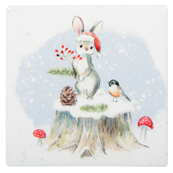 BUNNY & ROBIN COASTER